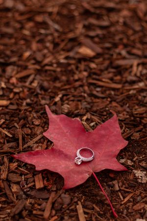 Diamond engagement ring displayed on a vibrant red maple leaf on wood chip ground.