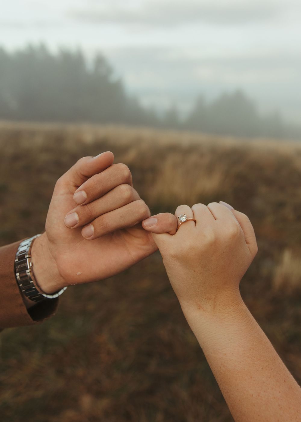 A sequence of hands performing a pinky promise gesture against a moody overcast sky and landscape background.