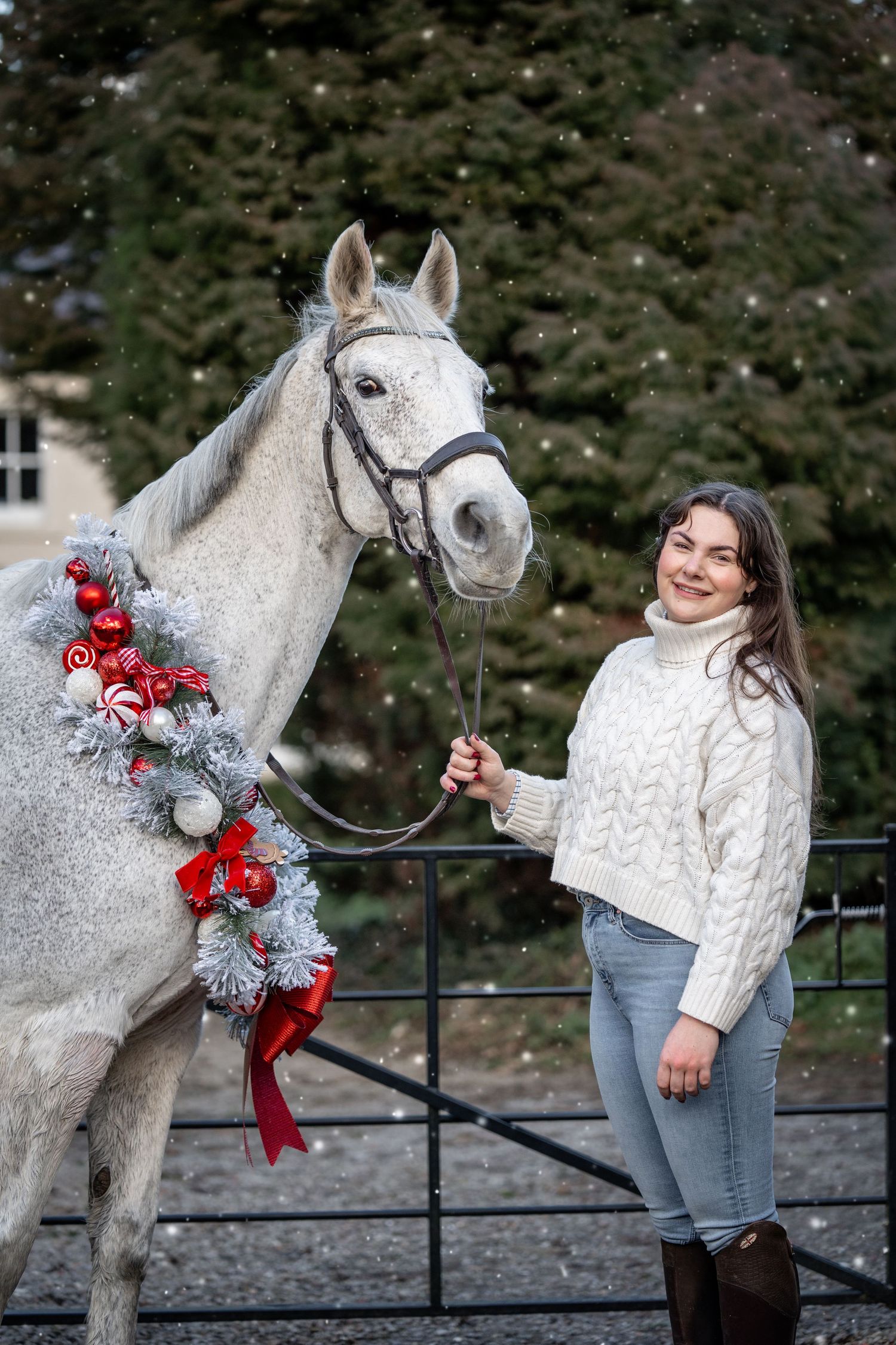 A white horse wearing a festive Christmas wreath with red bows and silver decorations poses for holiday photos.