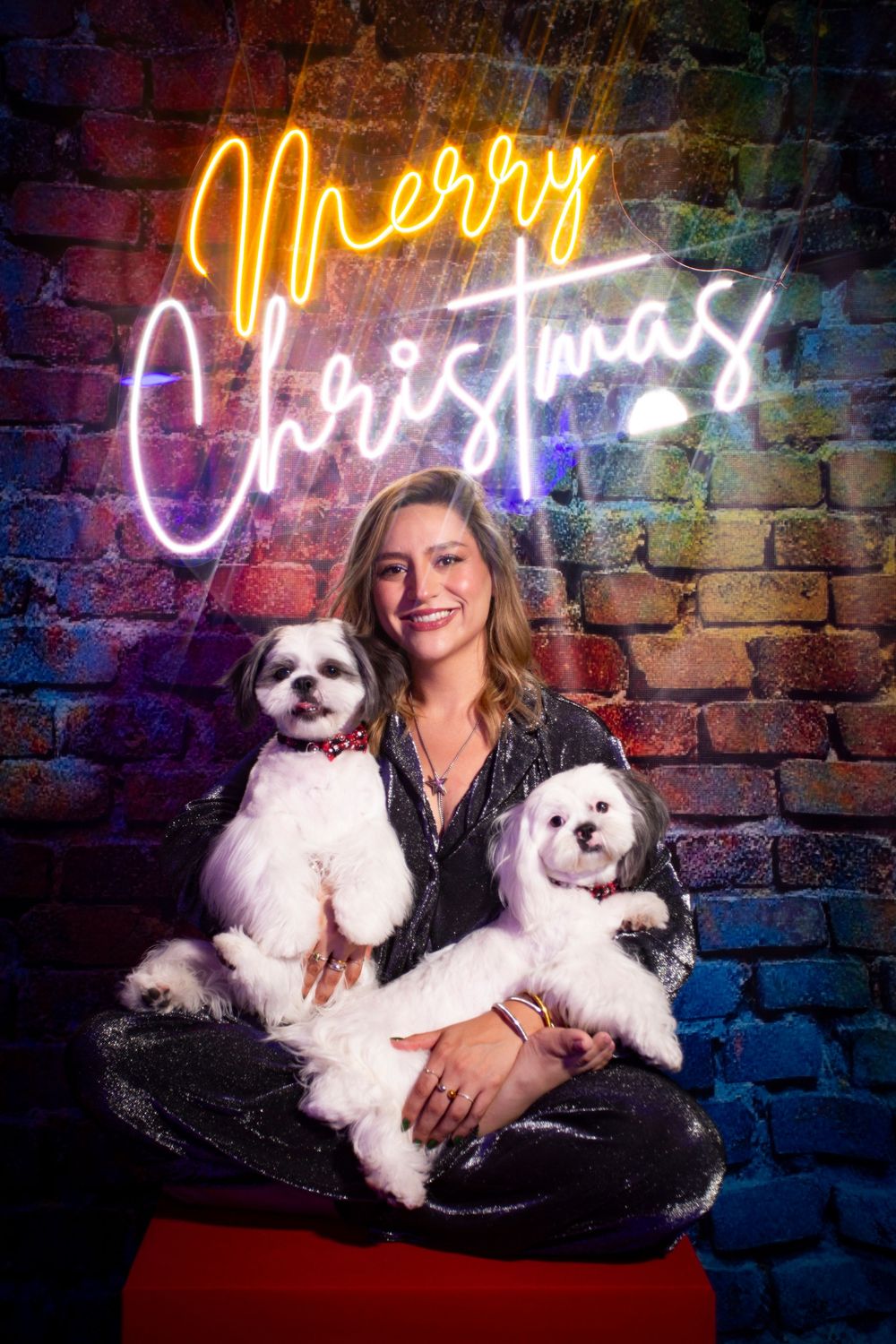 Three white fluffy dogs pose for a holiday photoshoot with neon Christmas lights on a brick wall background.