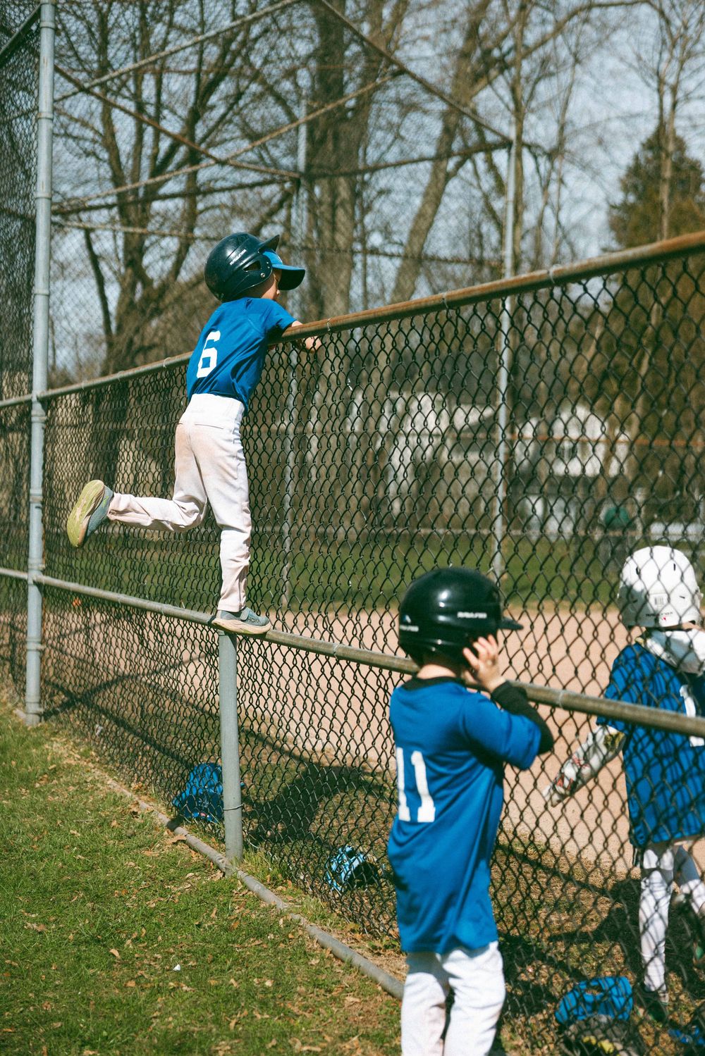 Young baseball players in blue uniforms climb and stand by a chain-link fence during an outdoor youth baseball game.