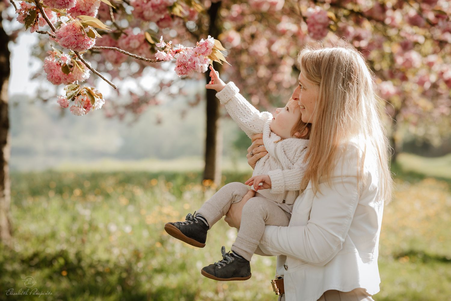 photographe de grossesse et de famille en belgique photos naturelles