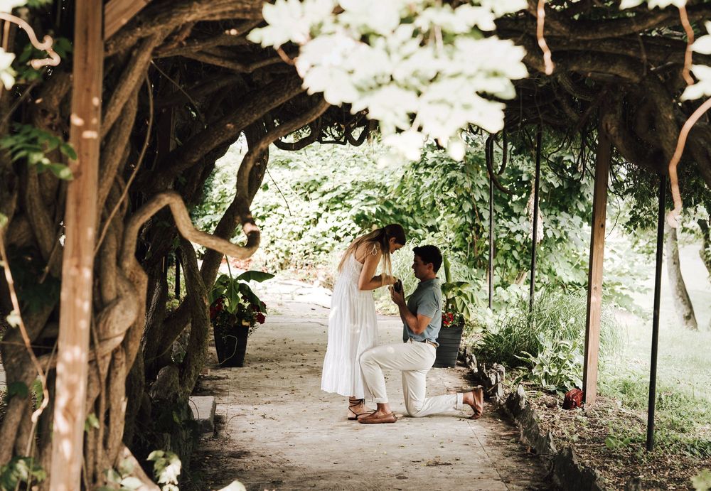 A man kneels to propose to a woman under a lush garden arbor covered in flowering vines.