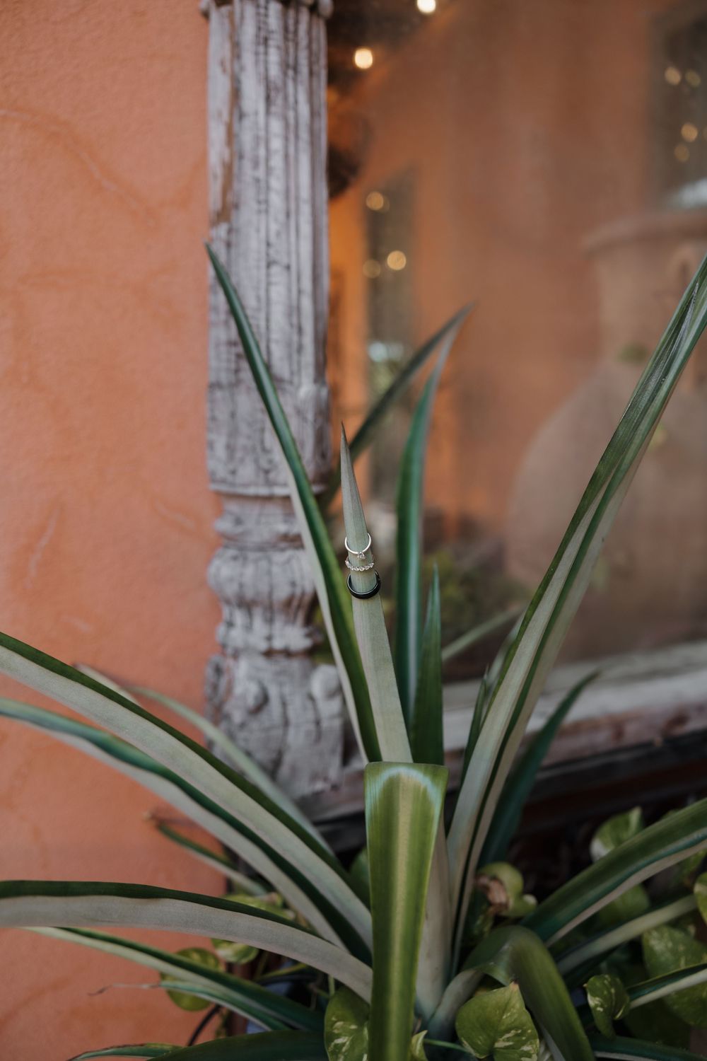 A wedding ring rests on a spiky agave plant with a blurred terracotta wall and column in the background.