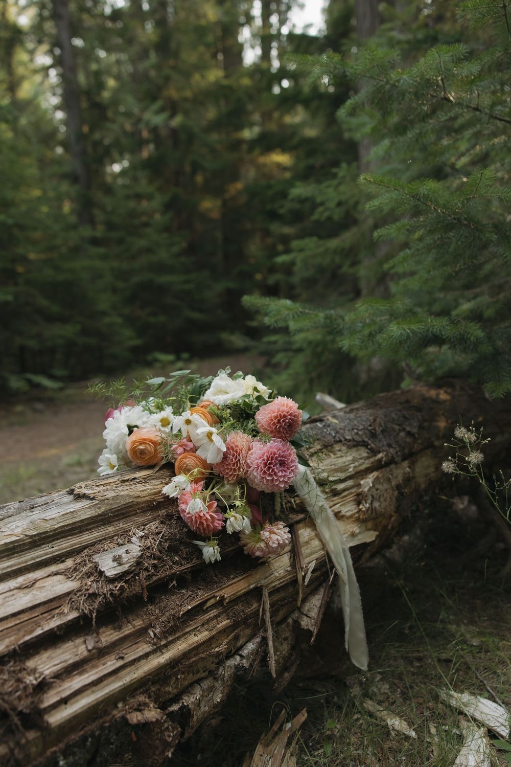 A rustic wedding bouquet with pink dahlias and white flowers rests on a mossy log in a lush green forest.