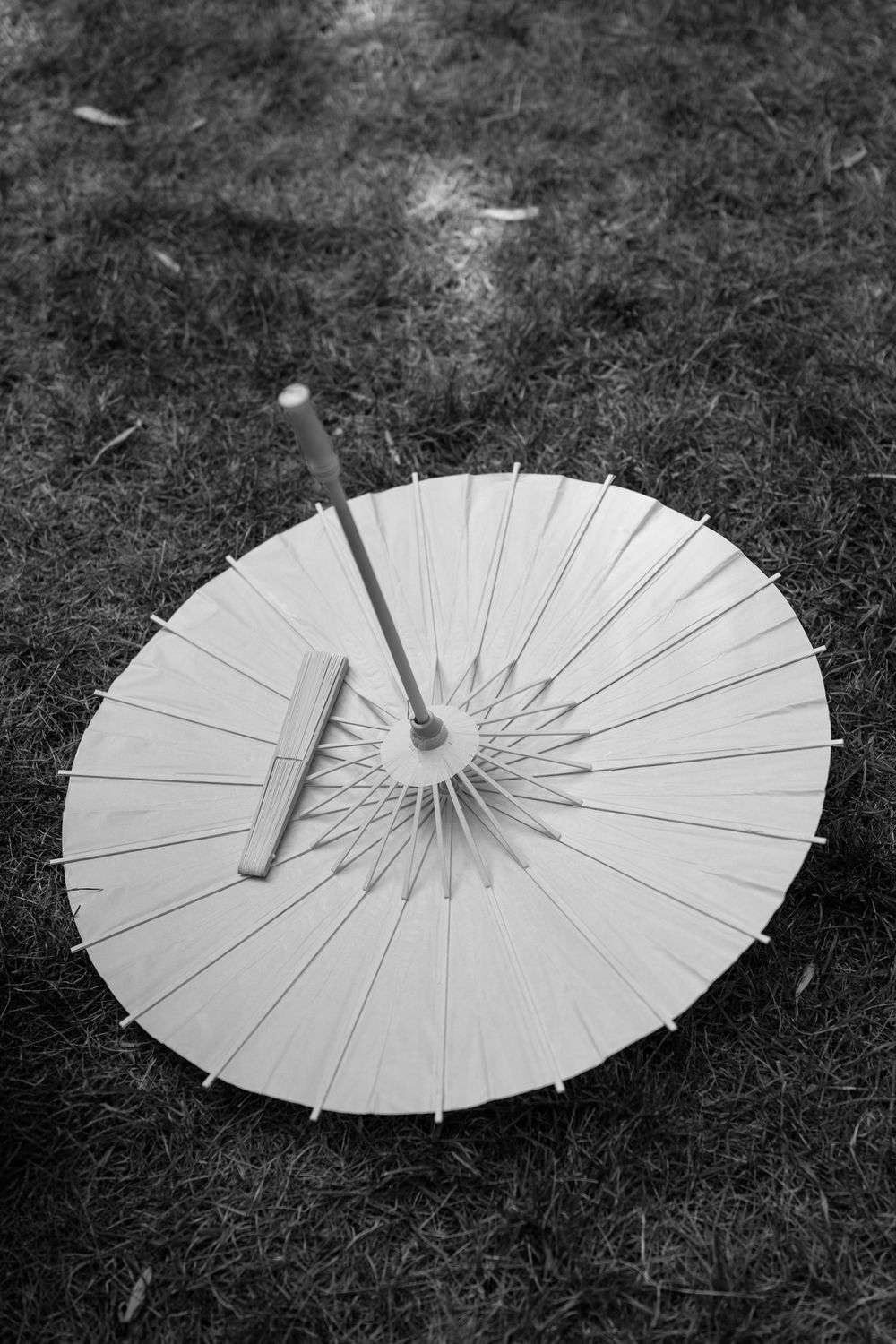 Black and white photo of a traditional paper parasol umbrella lying open on grass.