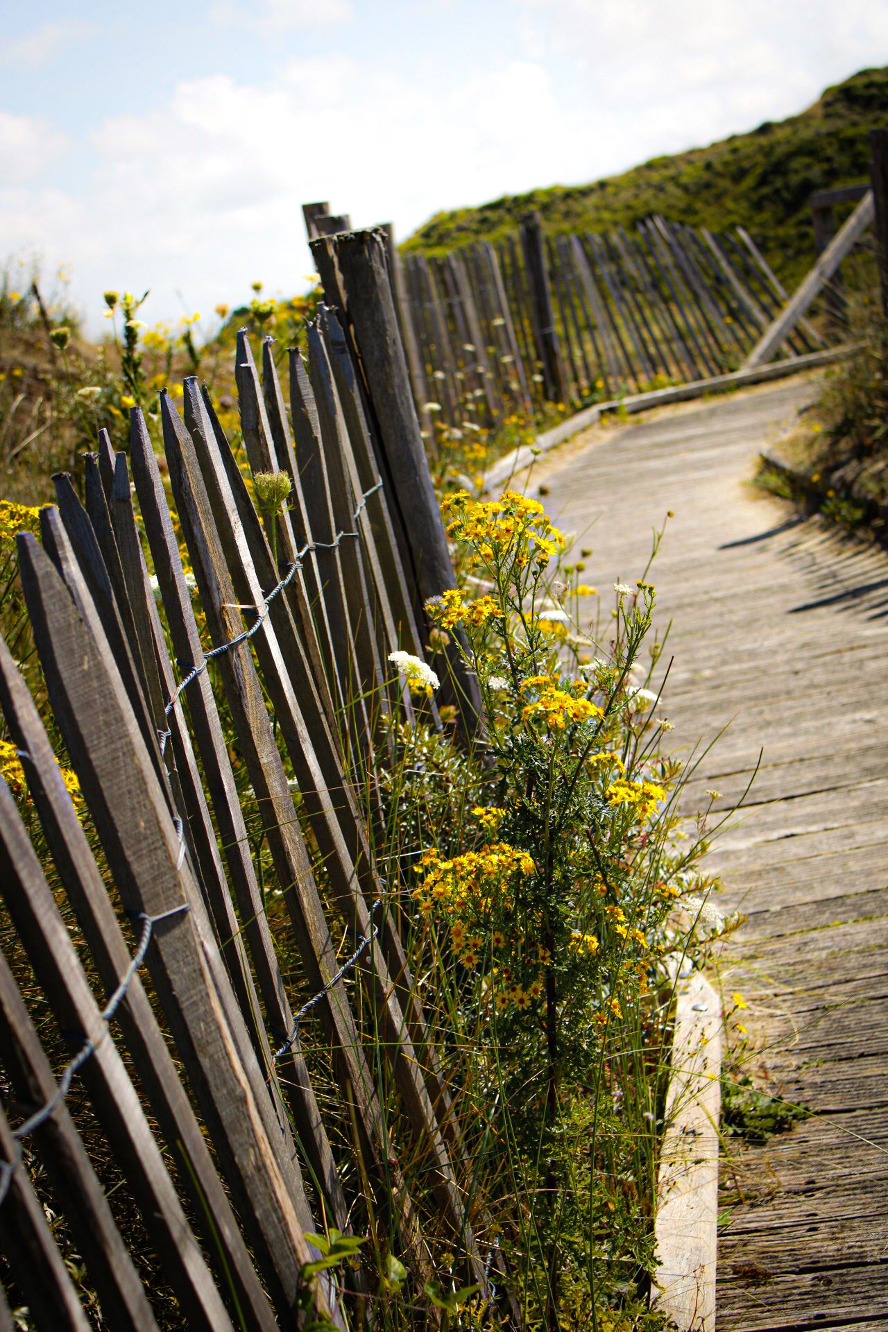 Photo en extérieure, Merlimont, Montreuil-sur-mer, Berck-sur-mer, hauts-de-France. Sandrine Photographie - Instants Ephèmères