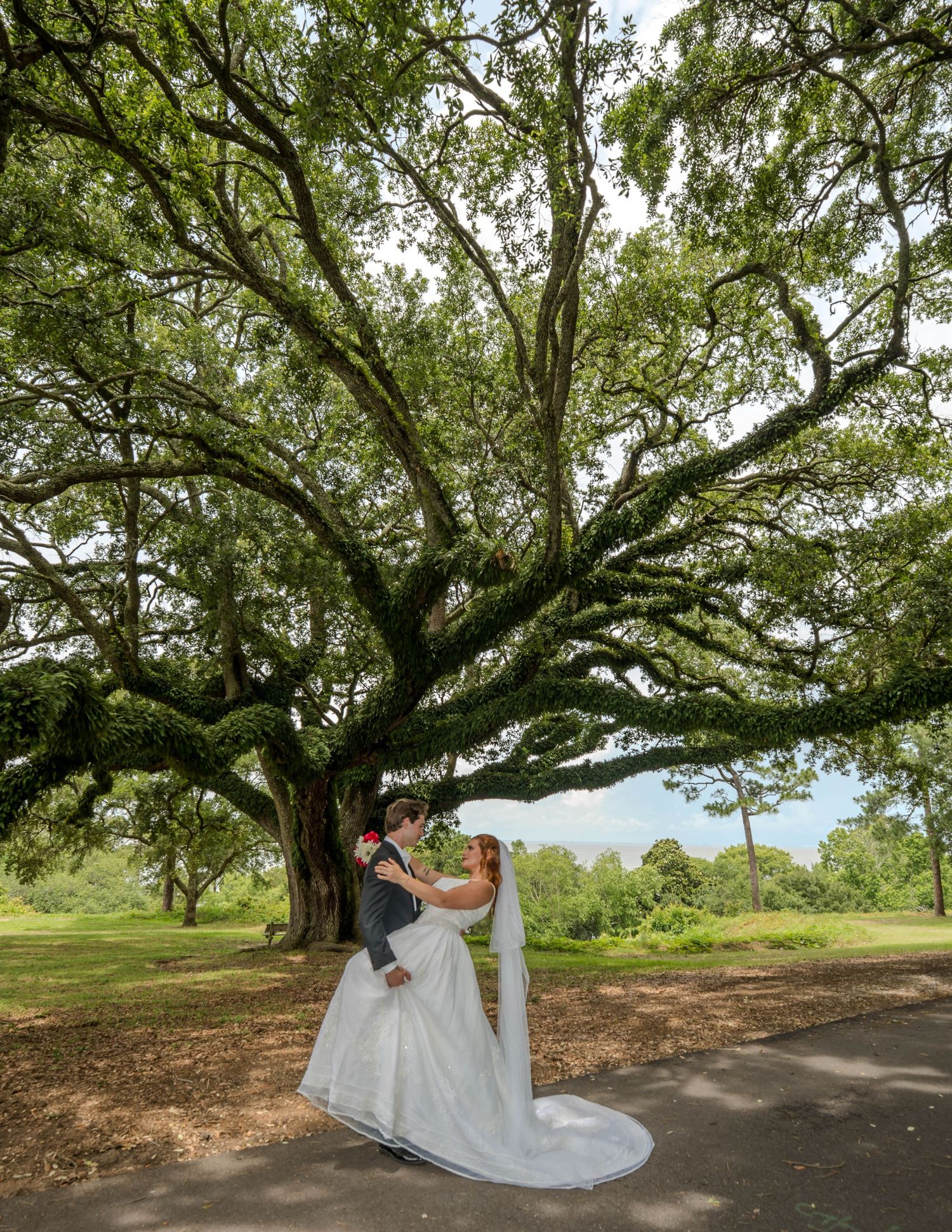 Bride and groom share a romantic moment under a grand oak tree in a lush green park setting.