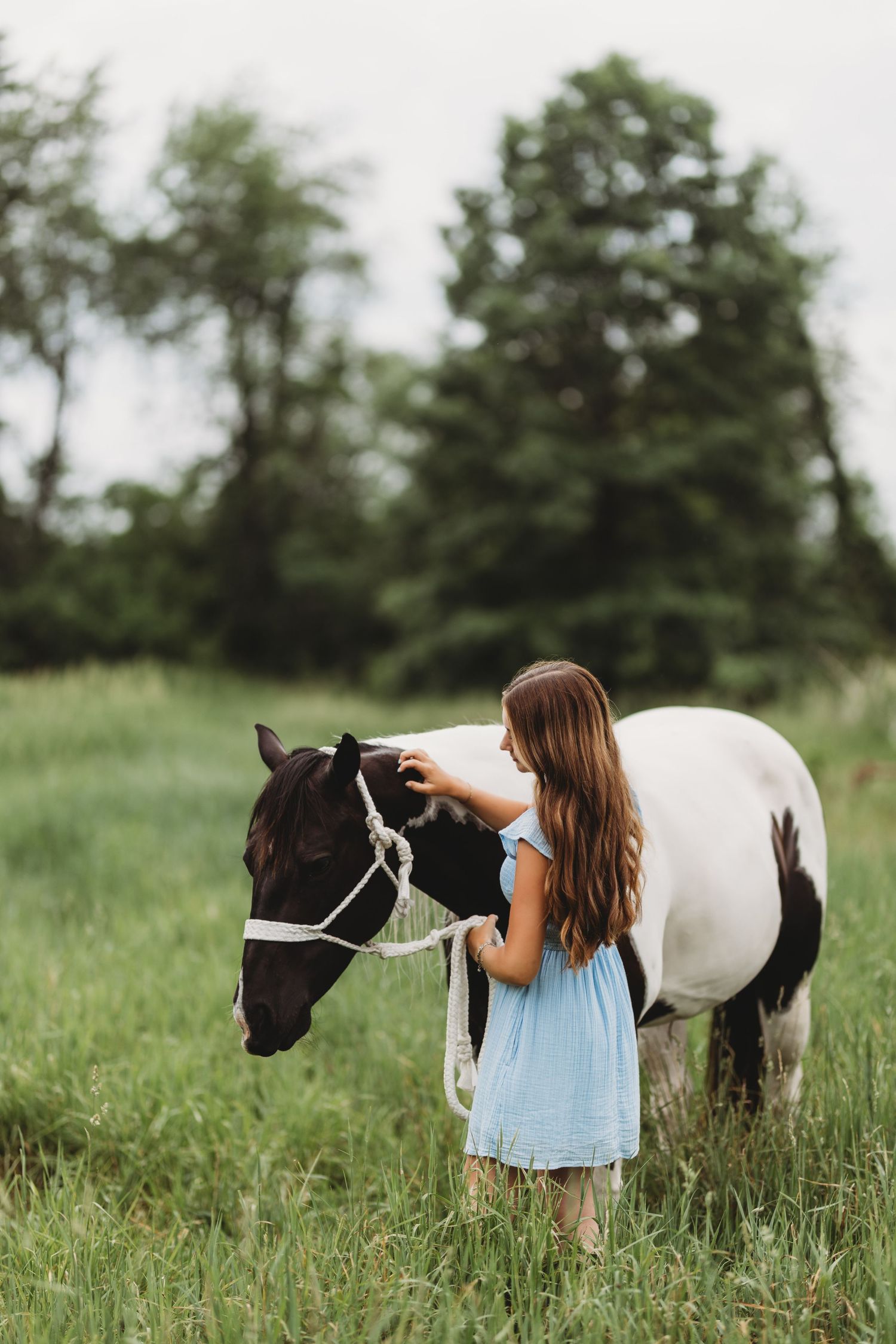 A young girl in a blue dress tenderly pets a black and white paint horse in a lush green field.