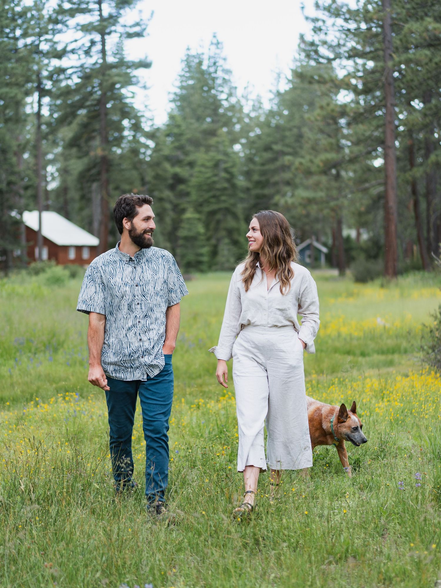 Couple walking with brown dog in wildflower meadow surrounded by pine trees and rustic cabins.