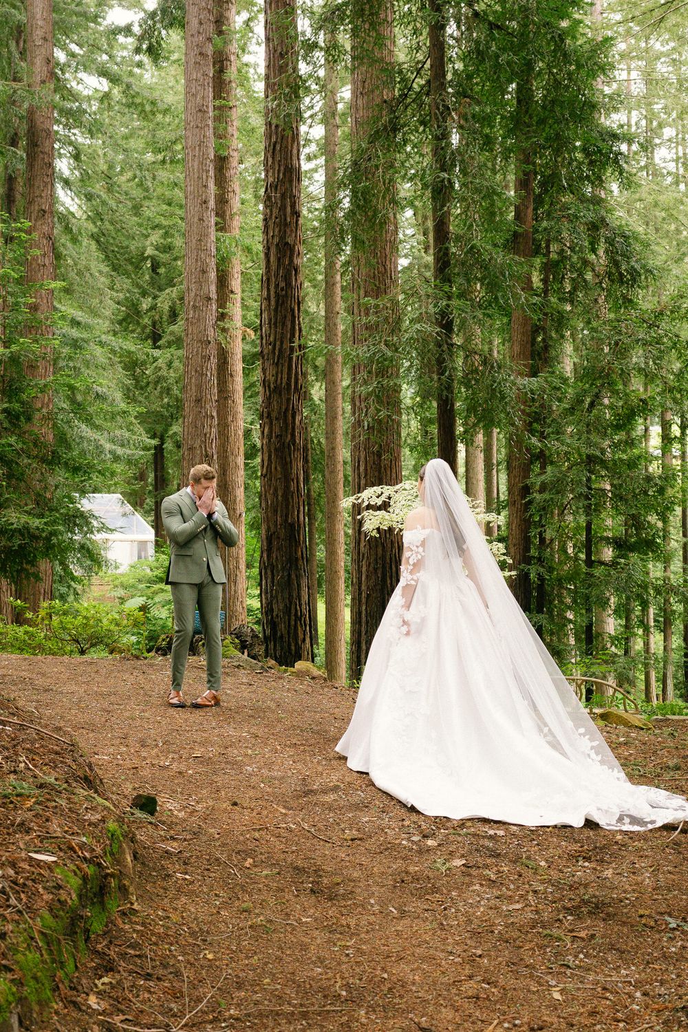 Emotional groom covers his mouth seeing bride in white gown and veil for first look among tall redwood trees.
