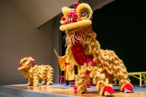 Traditional Chinese lion dance costumes displayed on a wooden stage during a cultural performance celebration.