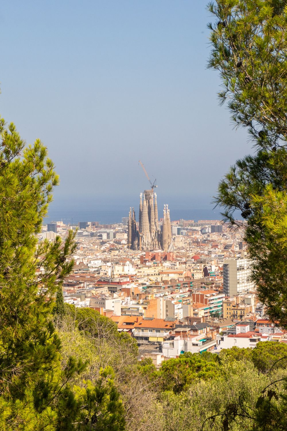 Barcelona cityscape with Sagrada Familia towers rising above surrounding buildings.