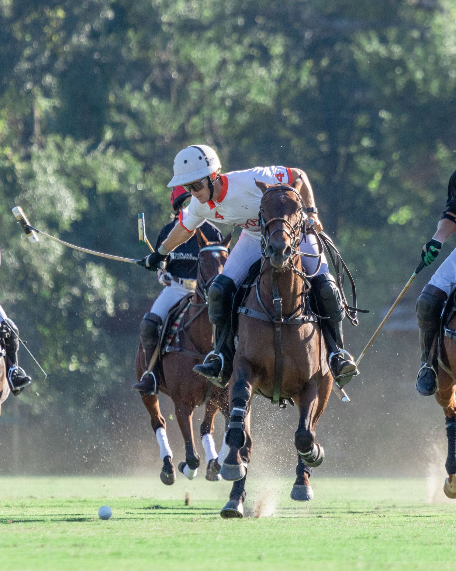 Polo