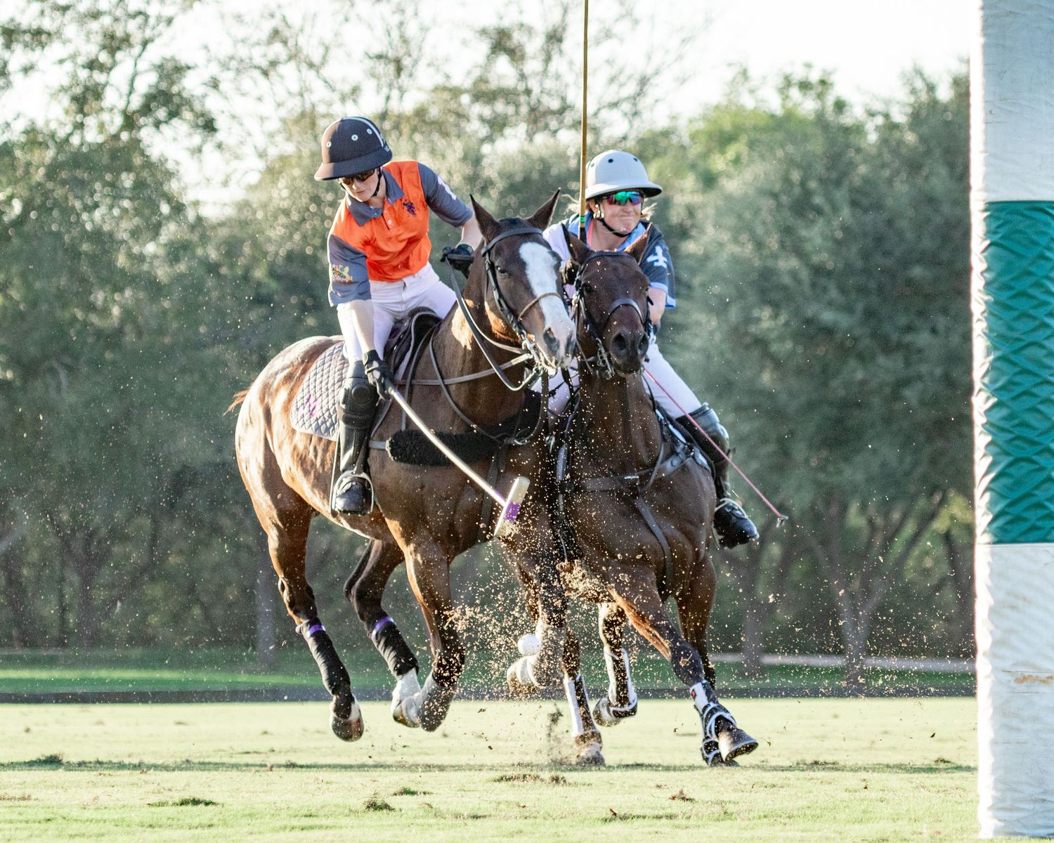 Polo