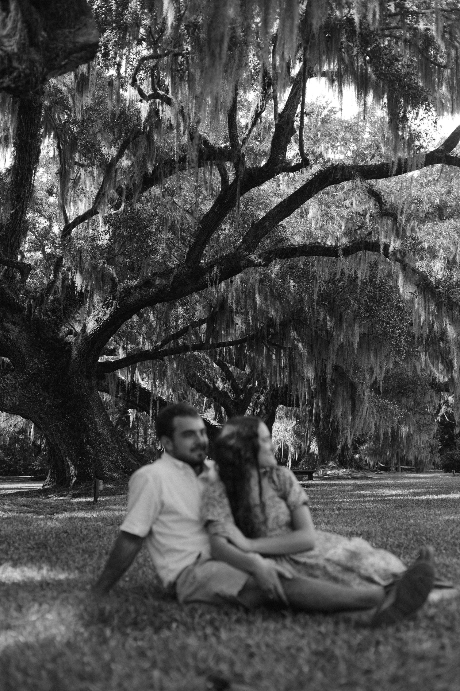 A couple shares an intimate moment under sprawling oak trees draped with Spanish moss.
