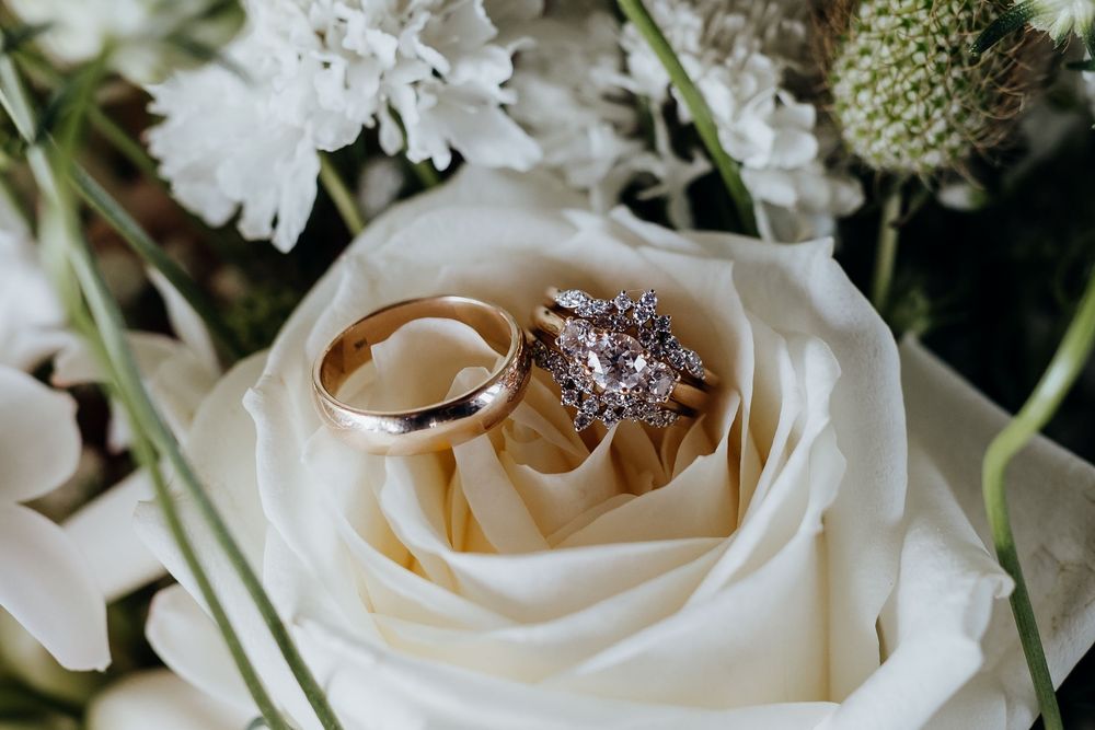 Close-up of wedding rings nestled in the petals of a cream-colored rose.