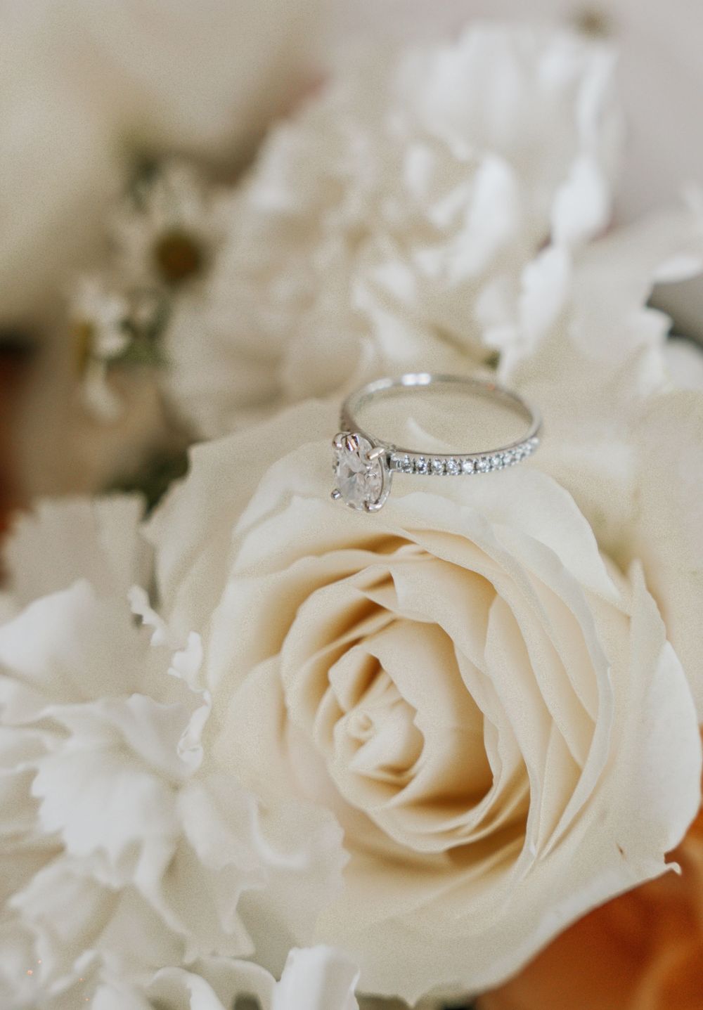 Close-up view of delicate cream-colored roses and diamond wedding rings arranged among soft white floral decor.
