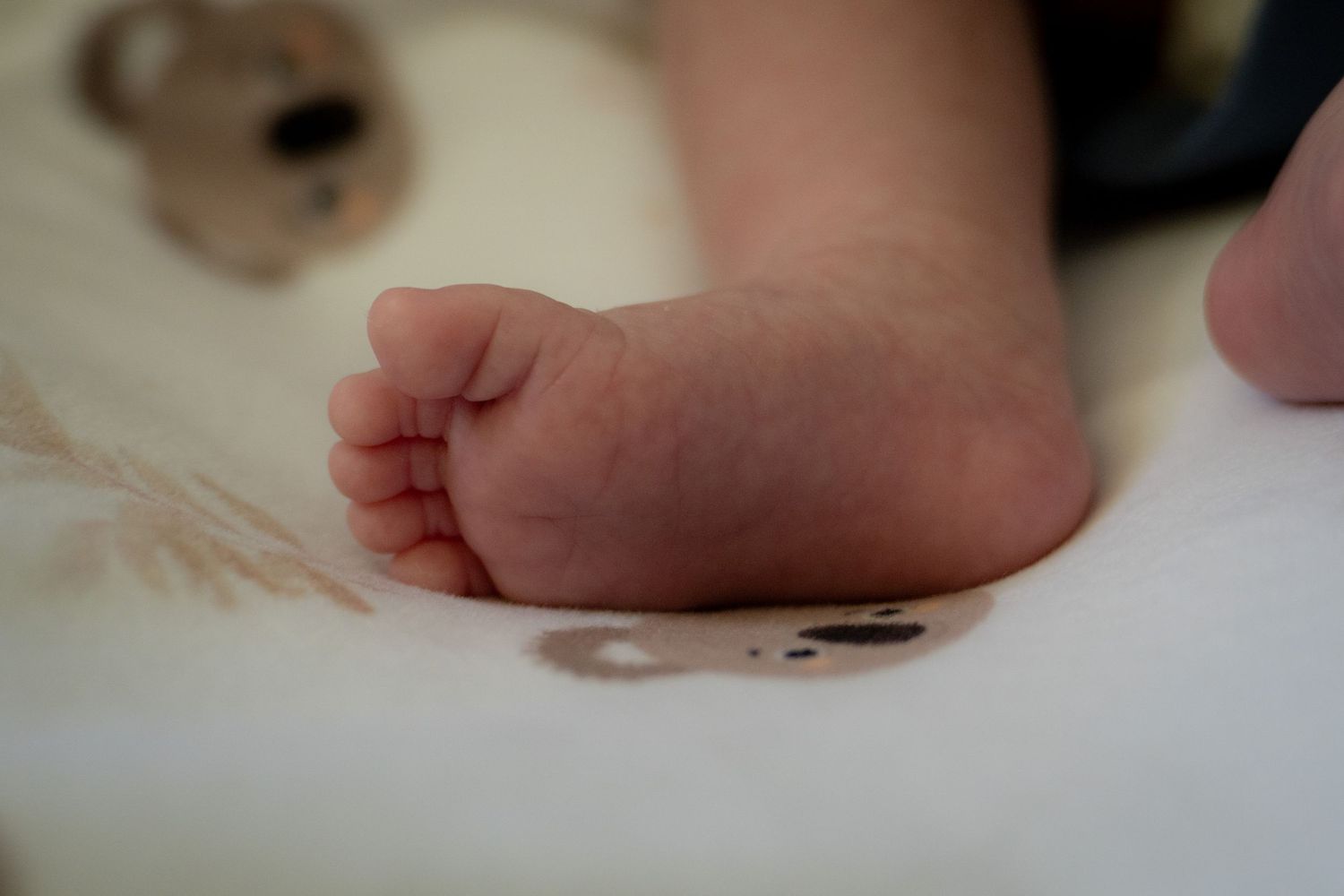 Close-up of a newborn baby's tiny foot resting on a soft white surface with a teddy bear in background.