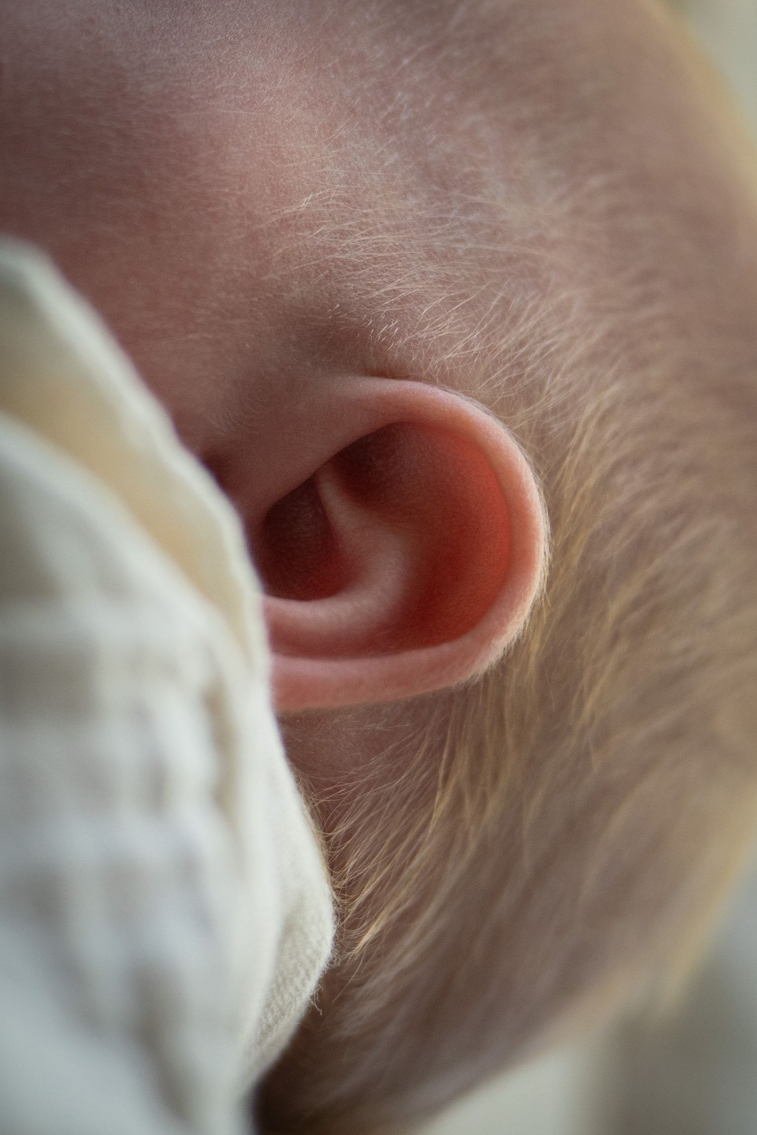Photo d'une oreille d'un nouveau-né
