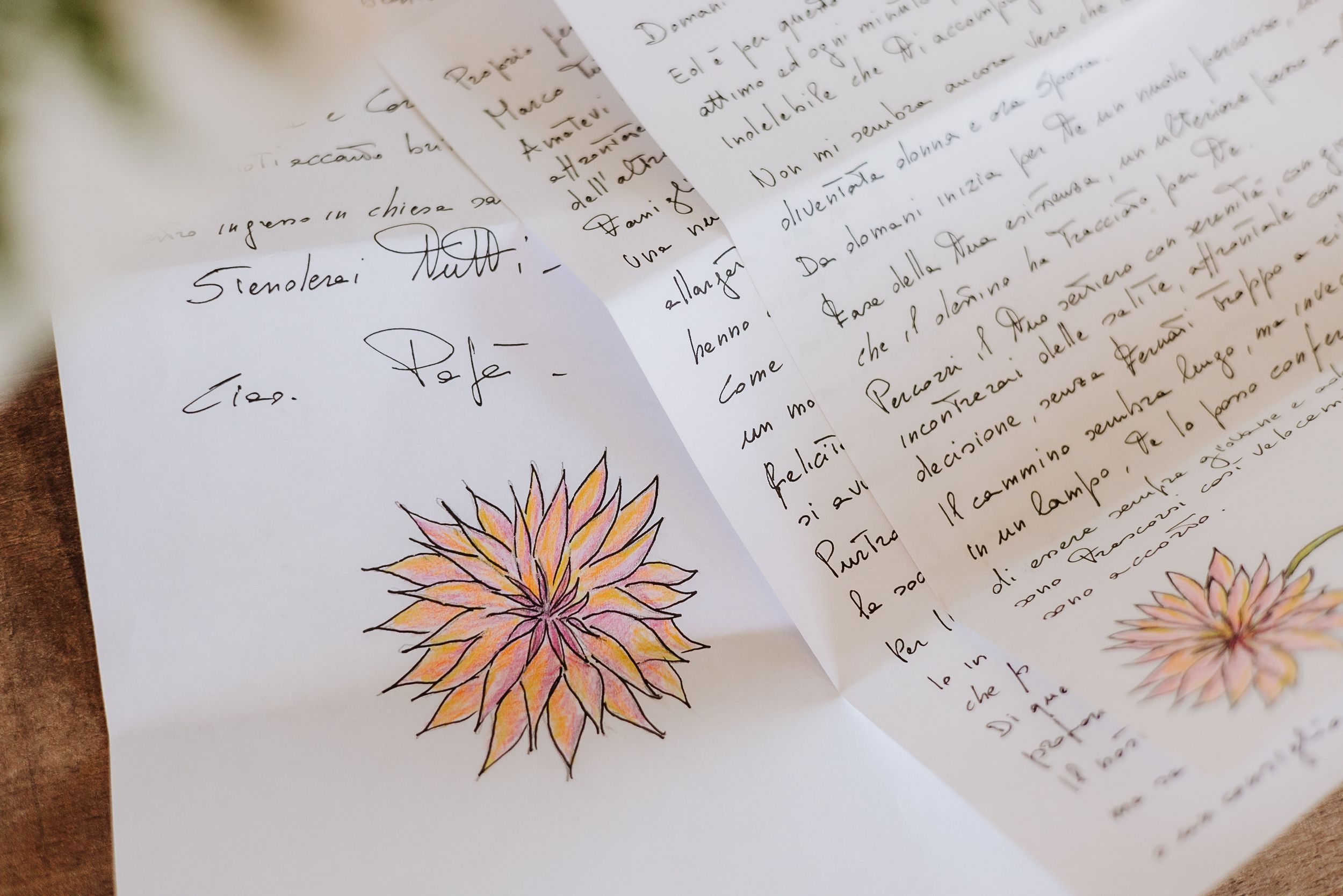 Handwritten letter pages with delicate orange floral illustrations drawn in the corners.