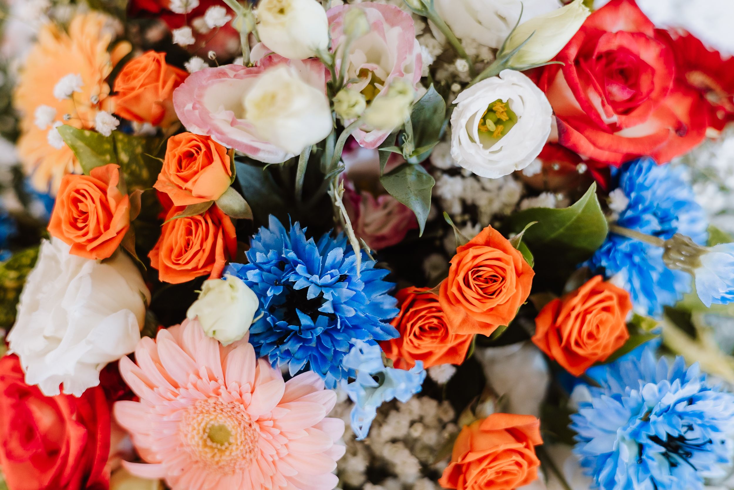Vibrant floral arrangement with coral roses, blue cornflowers, white lisianthus, and pink gerbera daisies in full bloom.