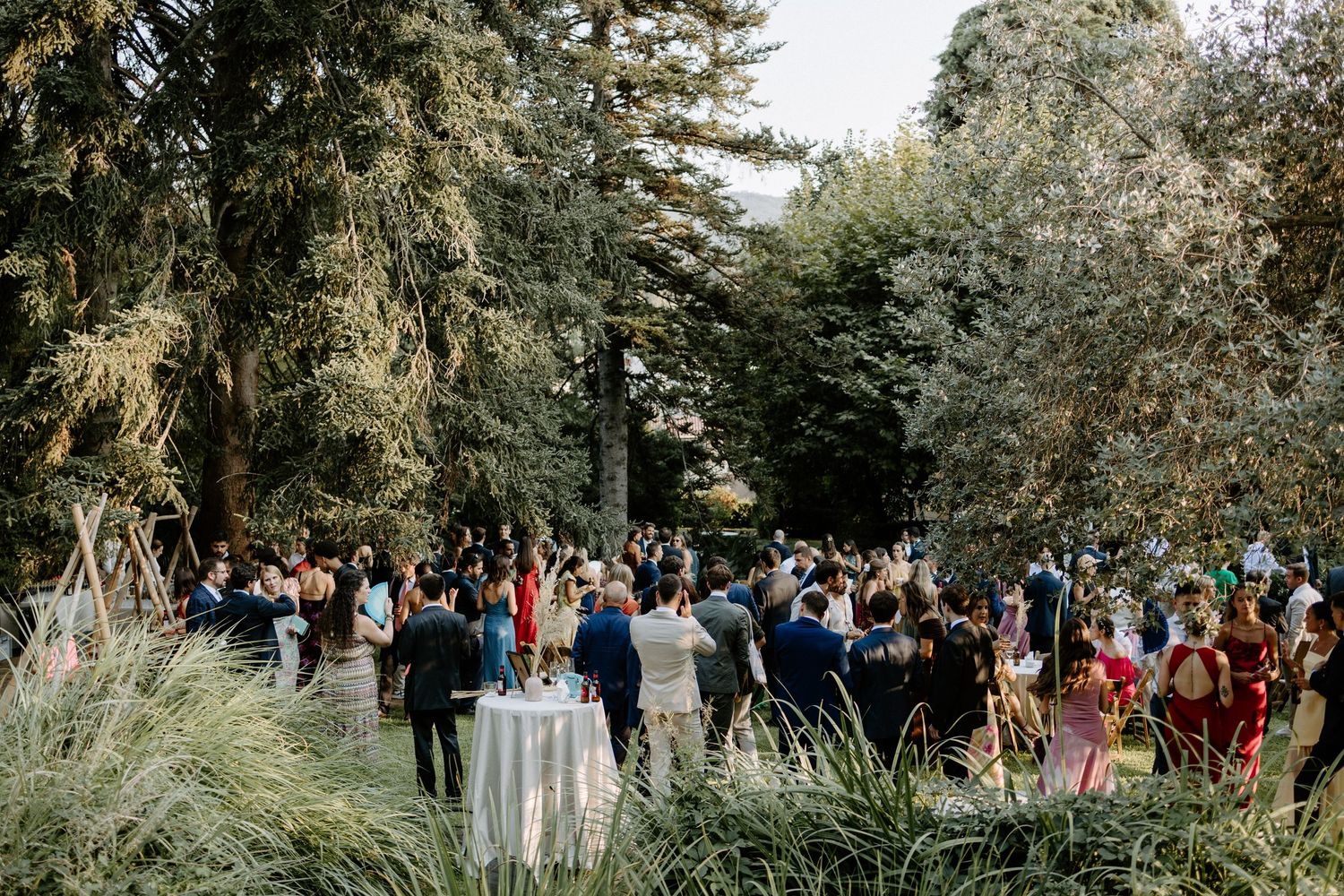 Outdoor wedding reception with guests mingling among trees and decorative elements.
