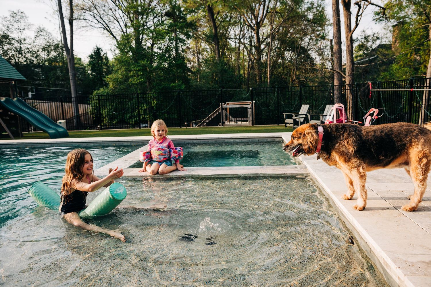 People enjoying a fun summer day splashing in a backyard swimming pool while a dog watches from the edge.