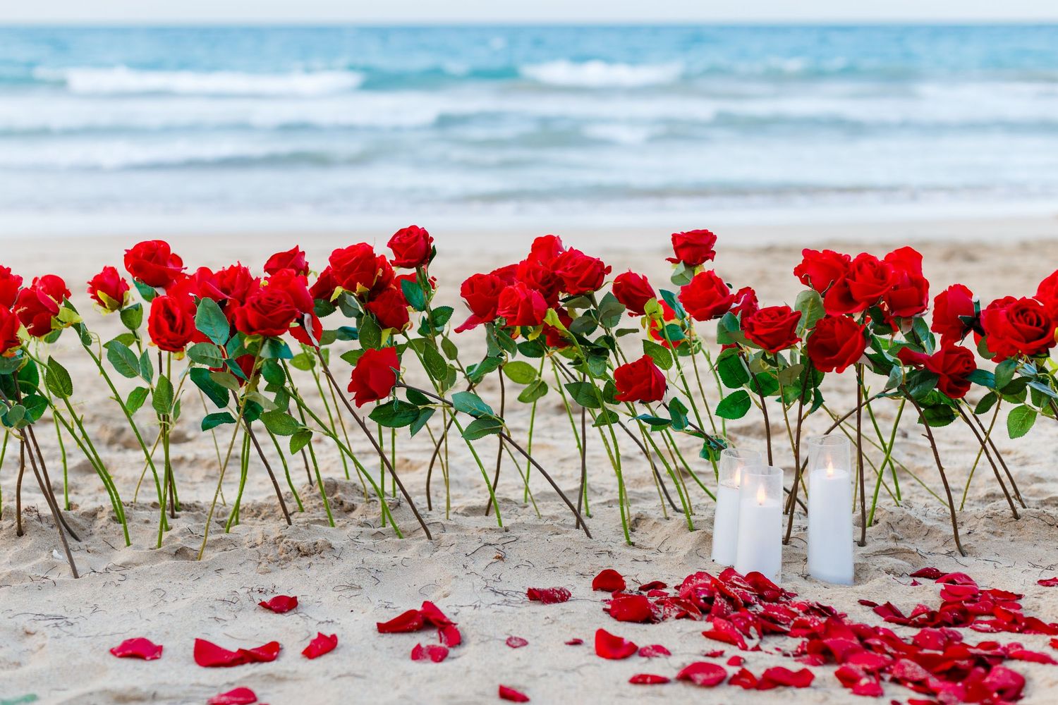Red roses and candles. Marriage proposal on the beach in Isla Verde, Carolina, Puerto Rico.