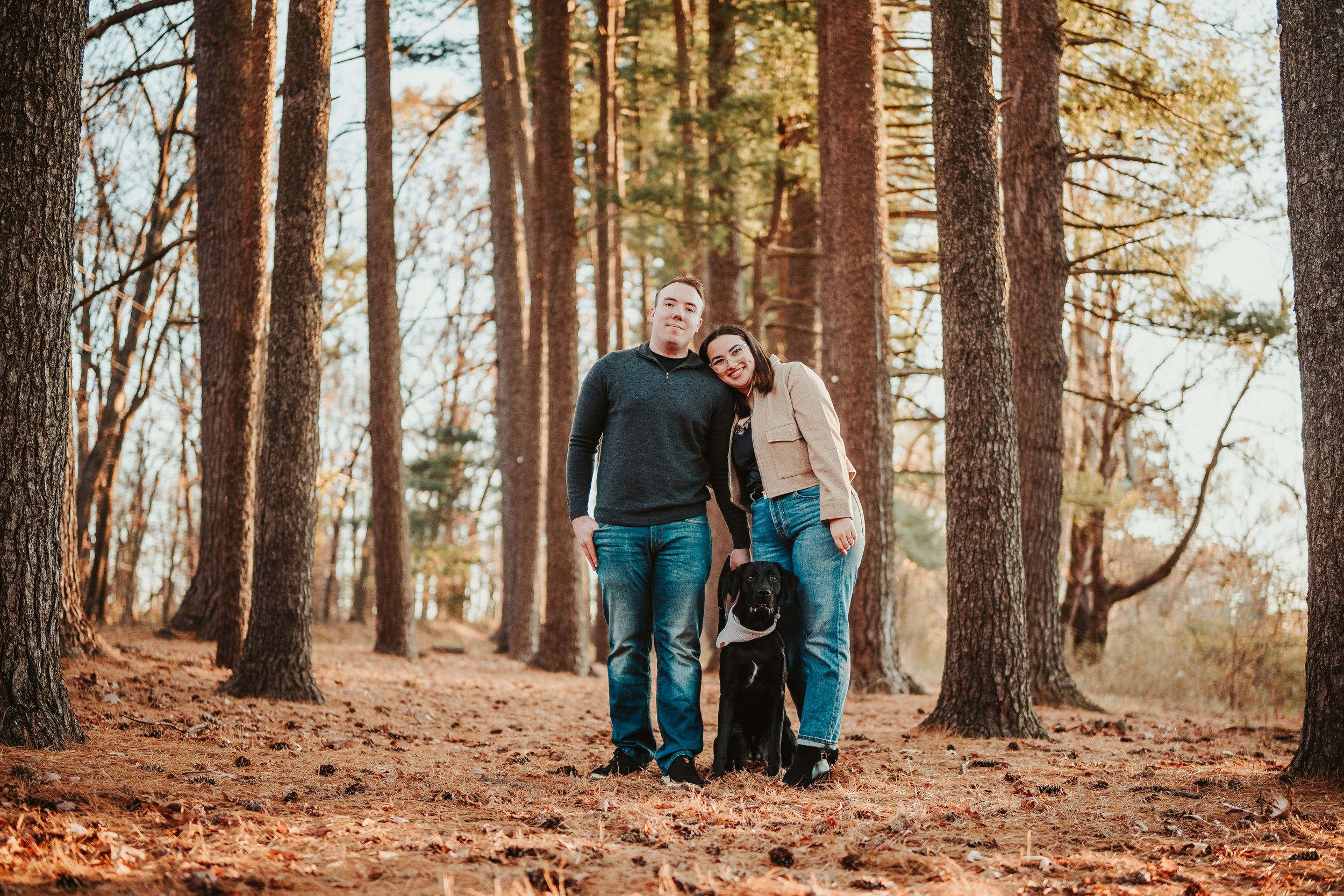 A couple and their dog walk together on a trail through a pine forest on an autumn afternoon.