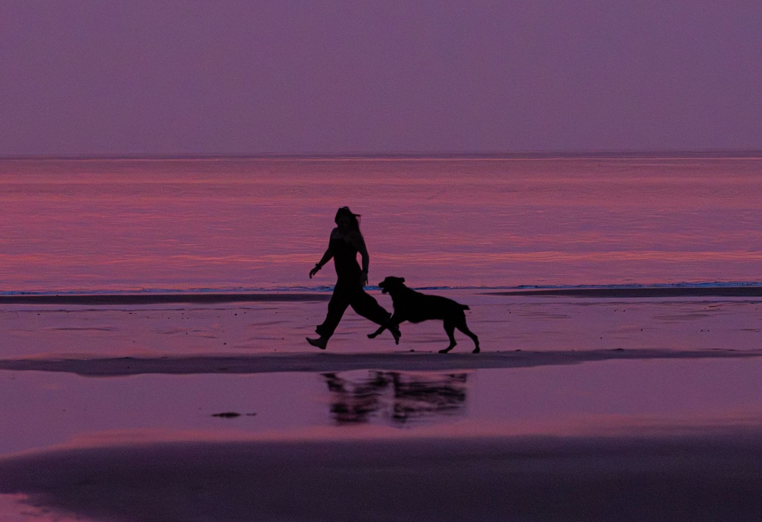 Silhouette of woman walking dog along a reflective beach shore during a vivid pink sunset. Canine Photo by Xenophon Photography in Maine.
