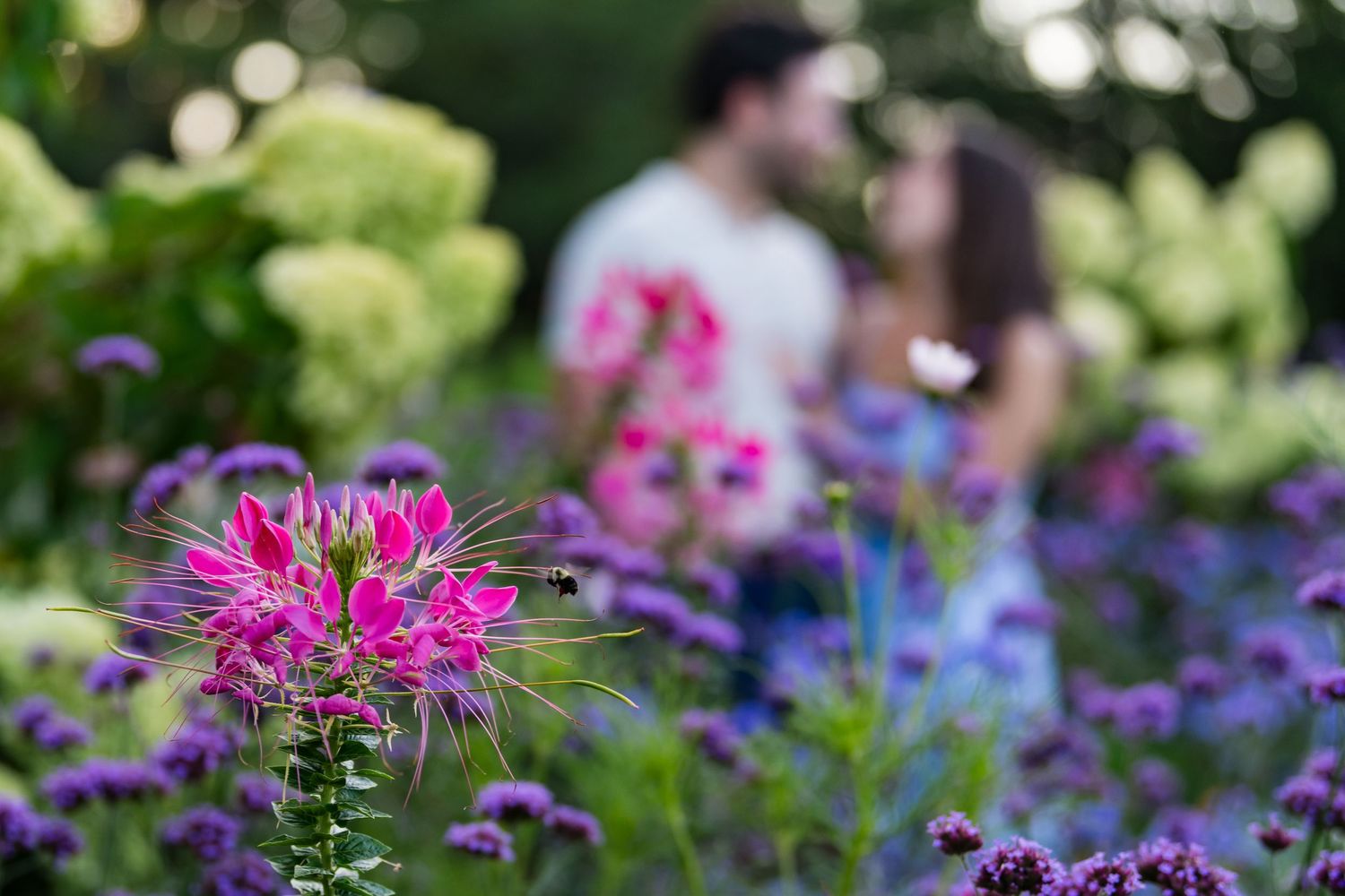 Professional engagement portraits with floral backdrop Rhode Island.