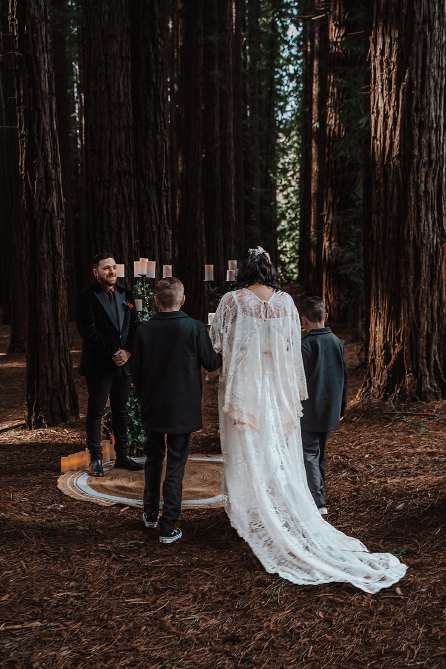 A wedding couple and their photographer take photos in a majestic redwood forest setting.