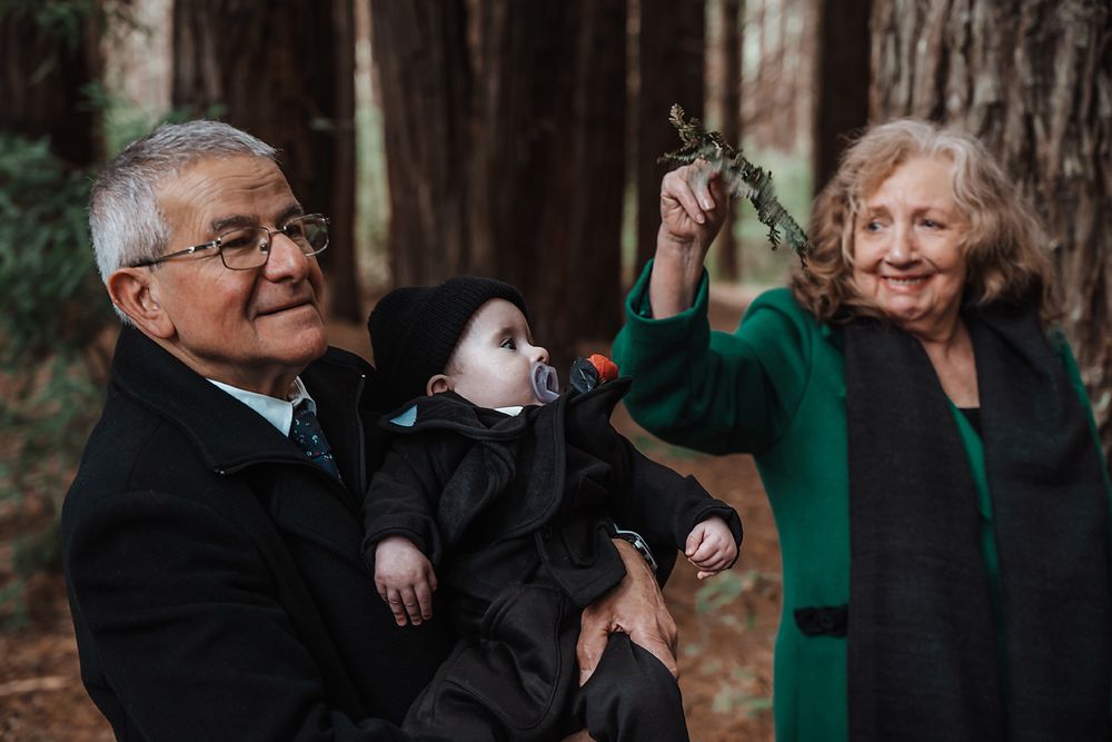 Romantic couple photo collage showing intimate moments in a forest setting with greenery and natural light.