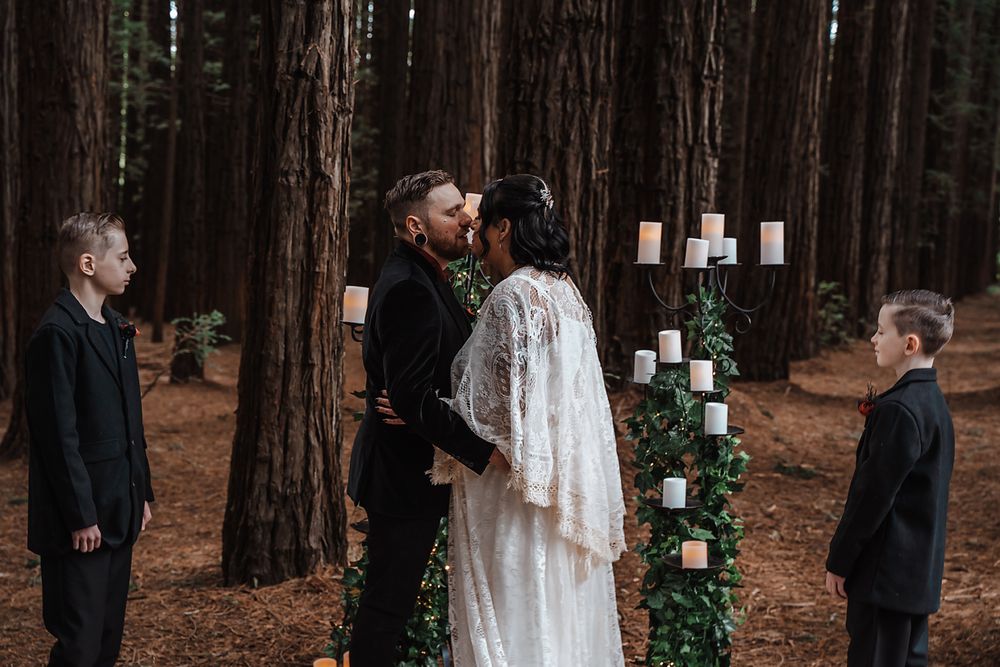 Wedding photography sequence showing couple and guests celebrating in a redwood forest setting.