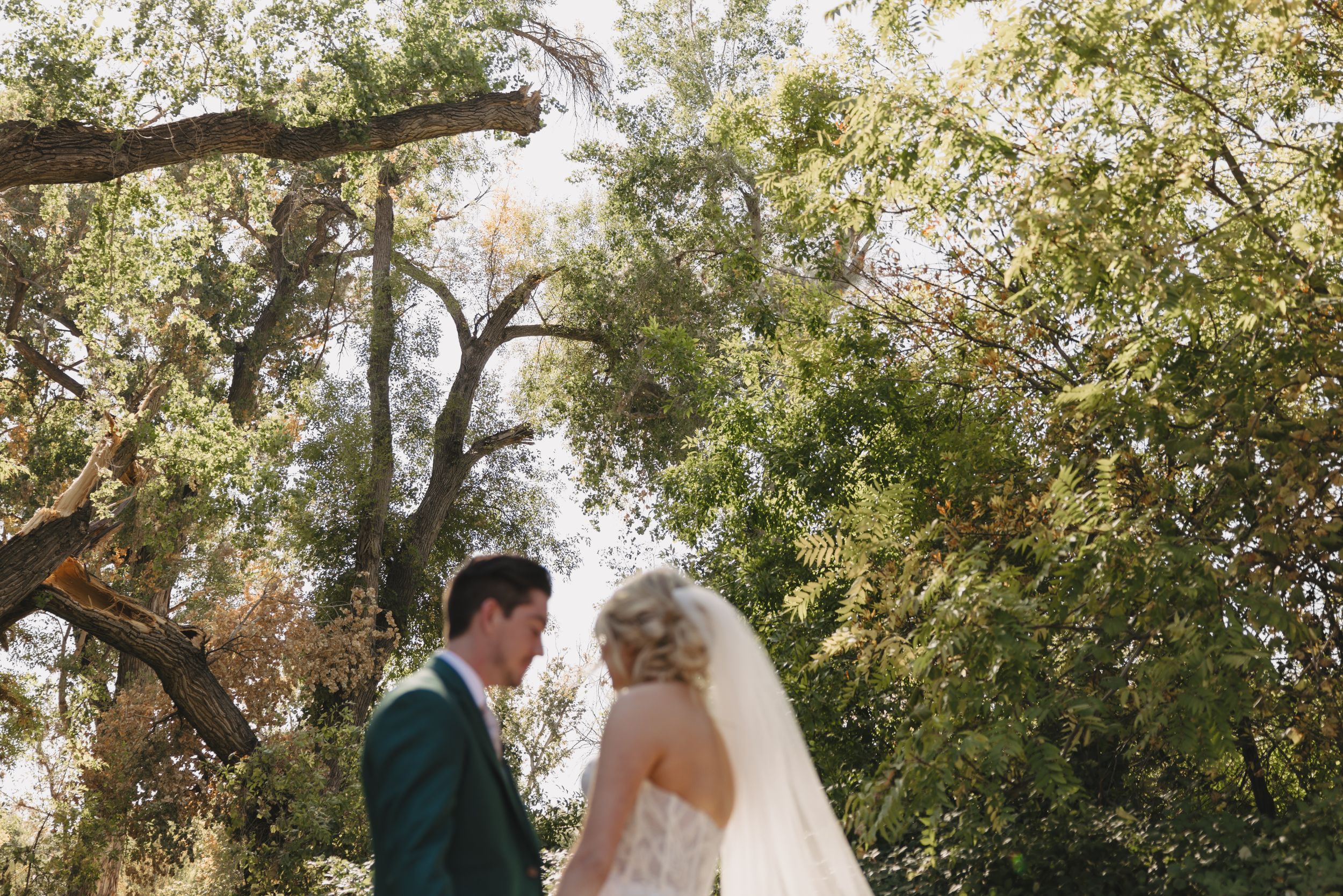 A romantic outdoor wedding moment captured under lush green trees on a sunny day.