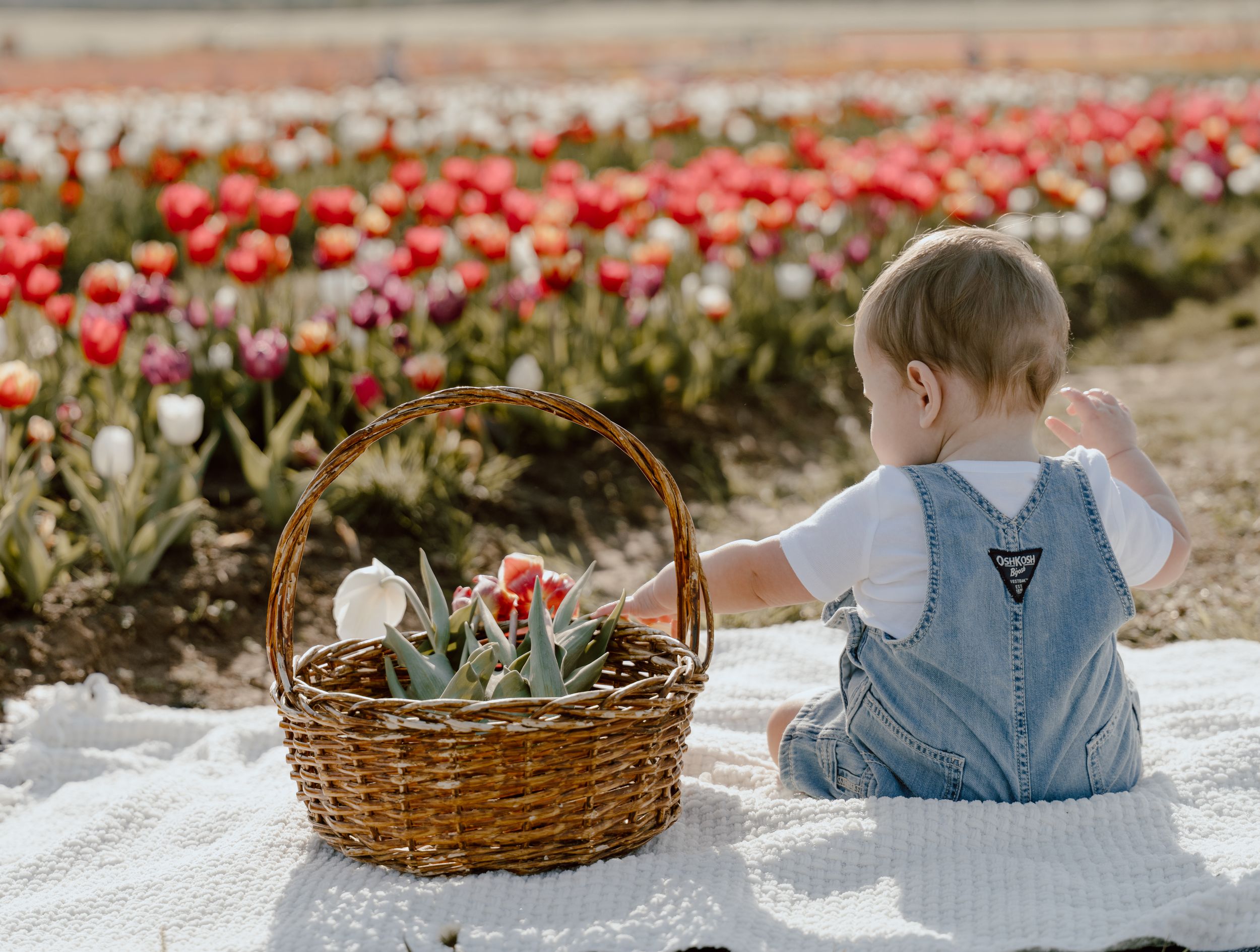 Virginia, NJ, and DC lifestyle family photoshoot capturing playful, candid moments and genuine connection in natural light at burnside farms