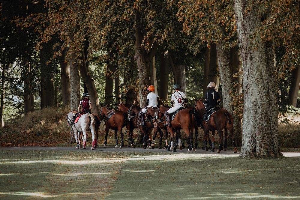 Polo players and horses on the way to their game through a forest