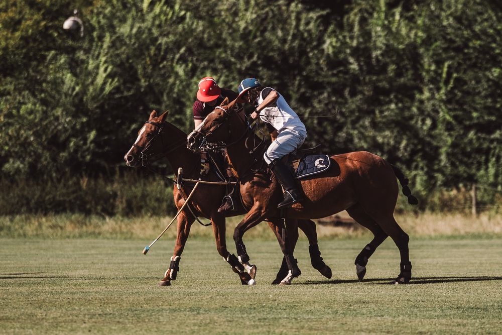 Two polo players playing the ball