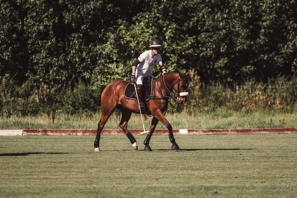 Polo player trotting over the field