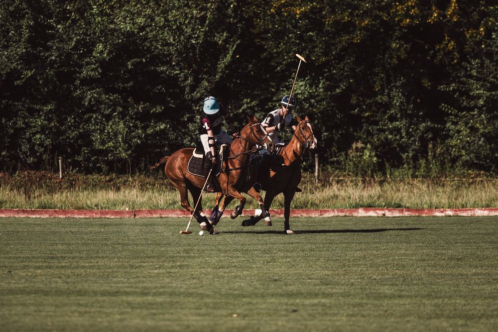 two polo players fighting over the ball while riding on their polo horses