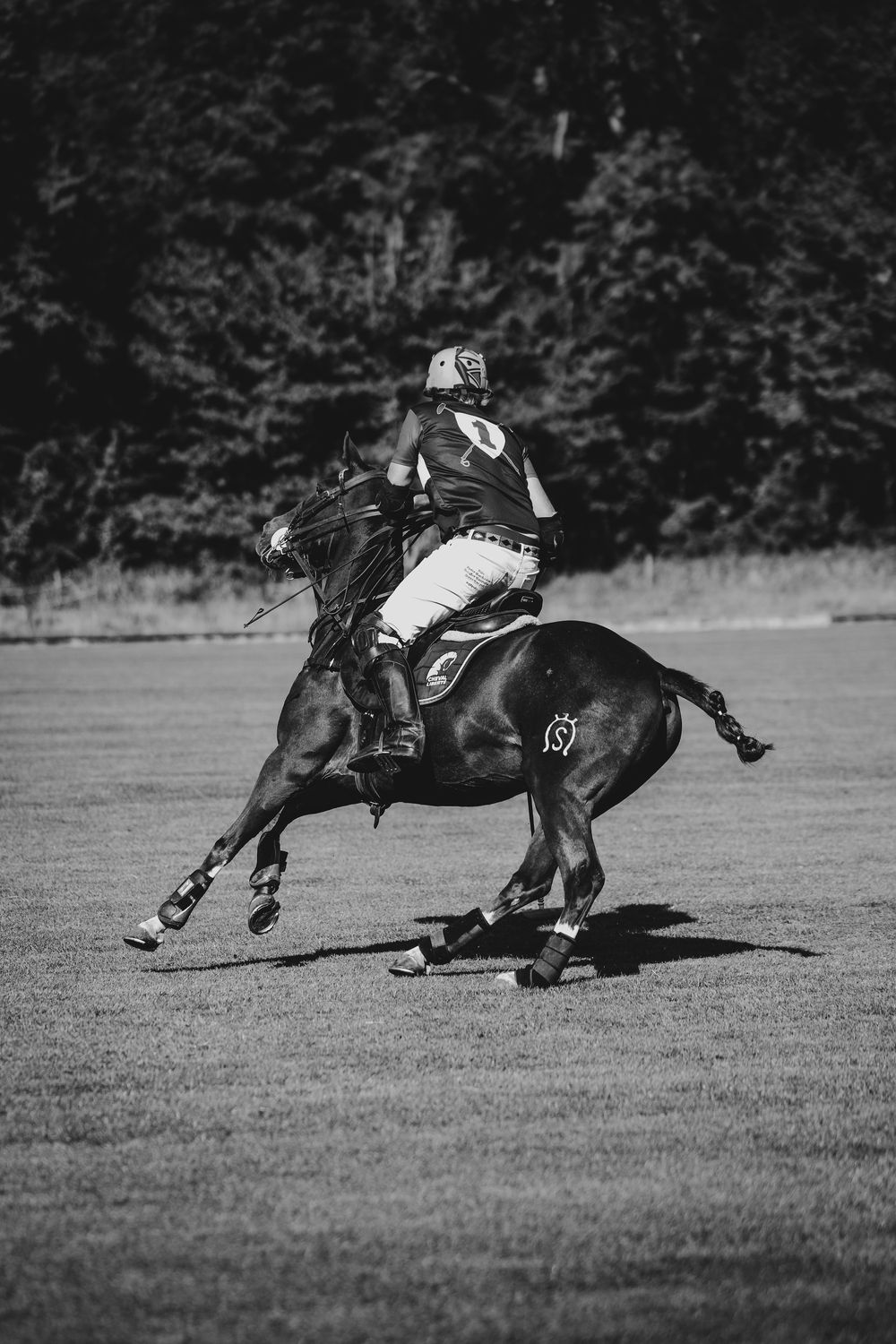 monochrome picture of a polo player