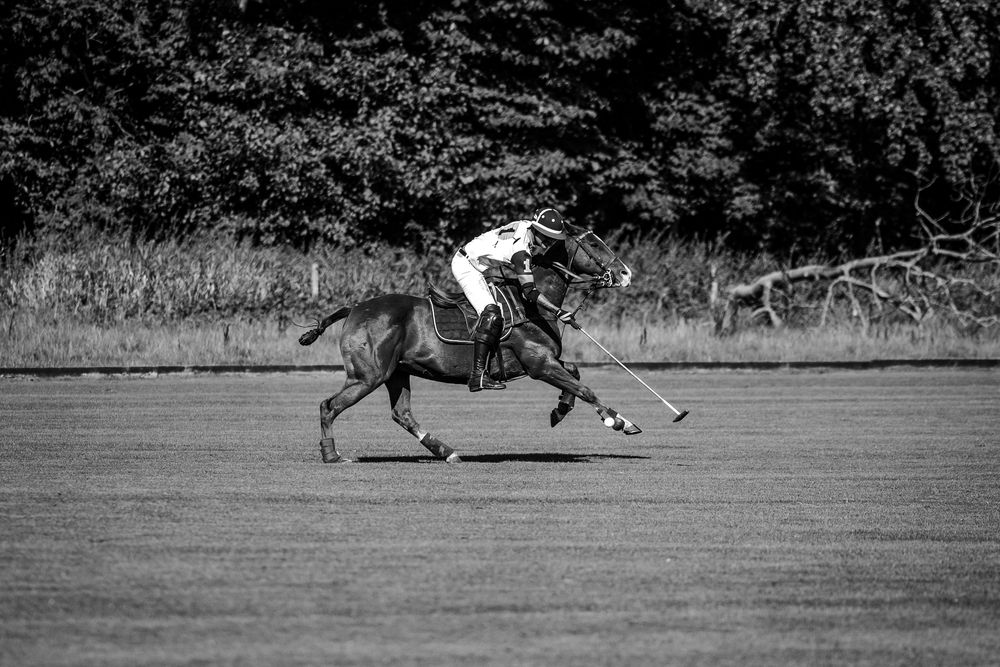 Polo player riding in canter on his horse
