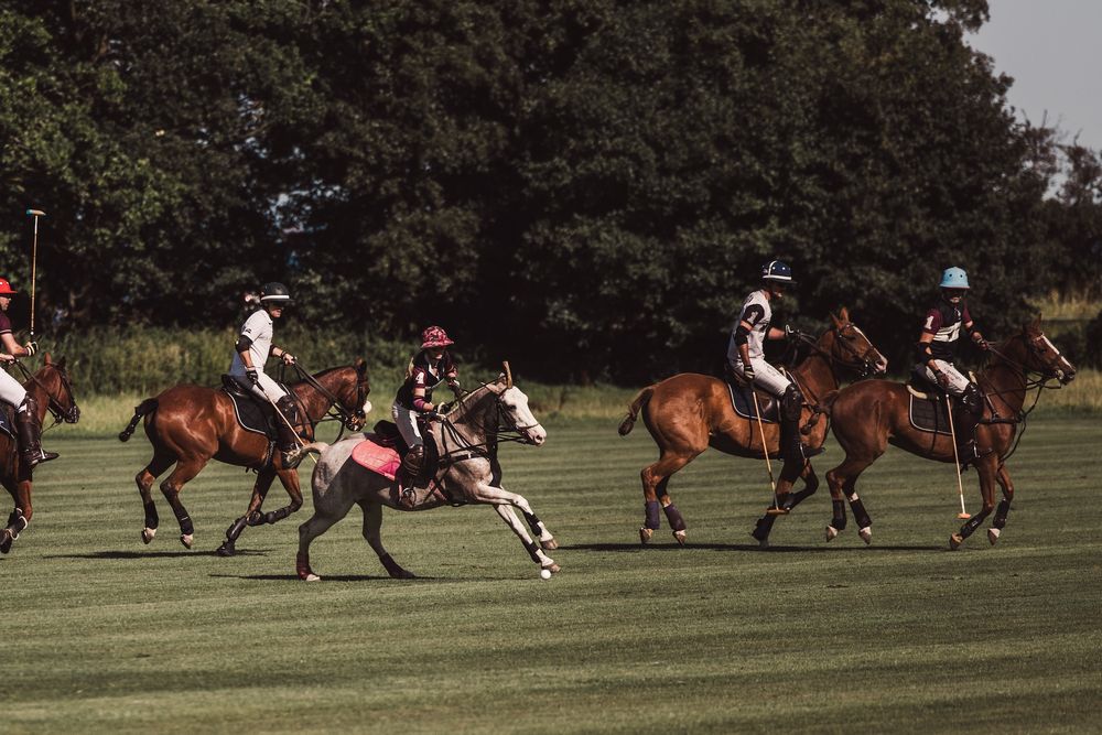 A group of polo players riding over the field on their horses