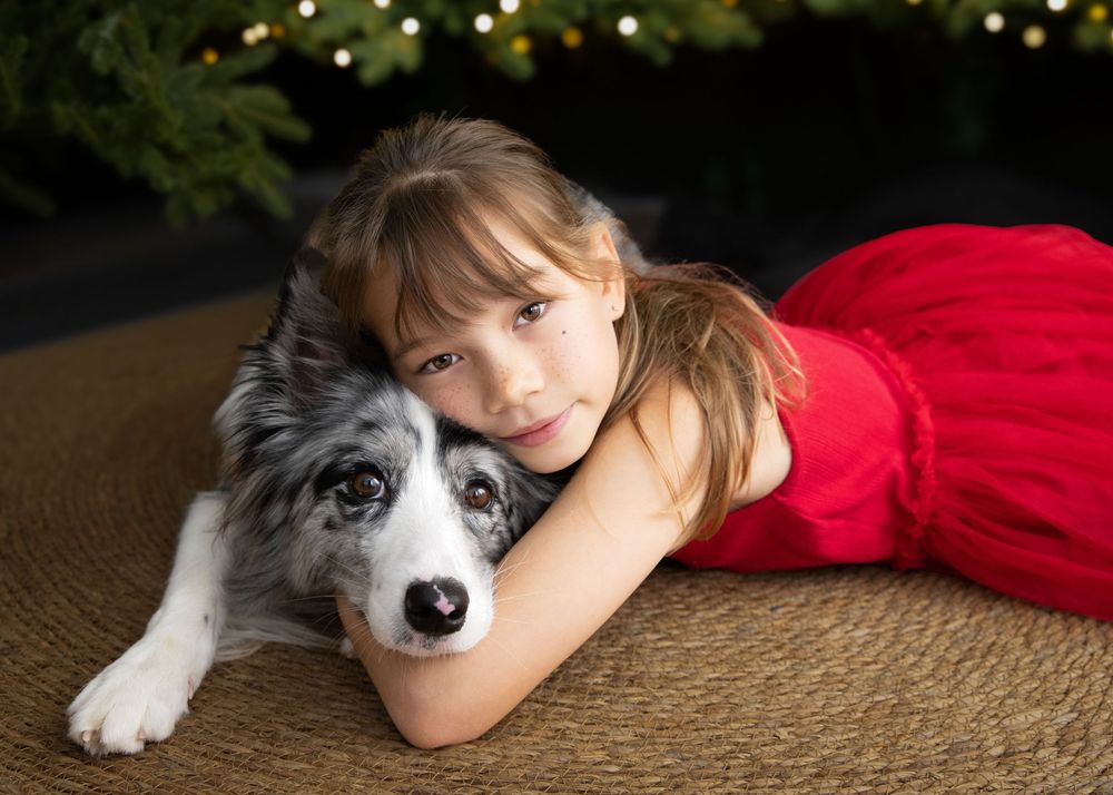 Best Hong Kong family photographer Christmas photo shoot portrait a girl and her border colliedog in front of Christmas trees
