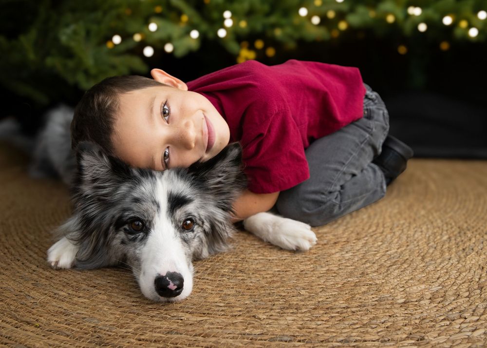 Best Hong Kong family photographer Christmas photo shoot portrait a boy and his border collie dog in front of Christmas trees