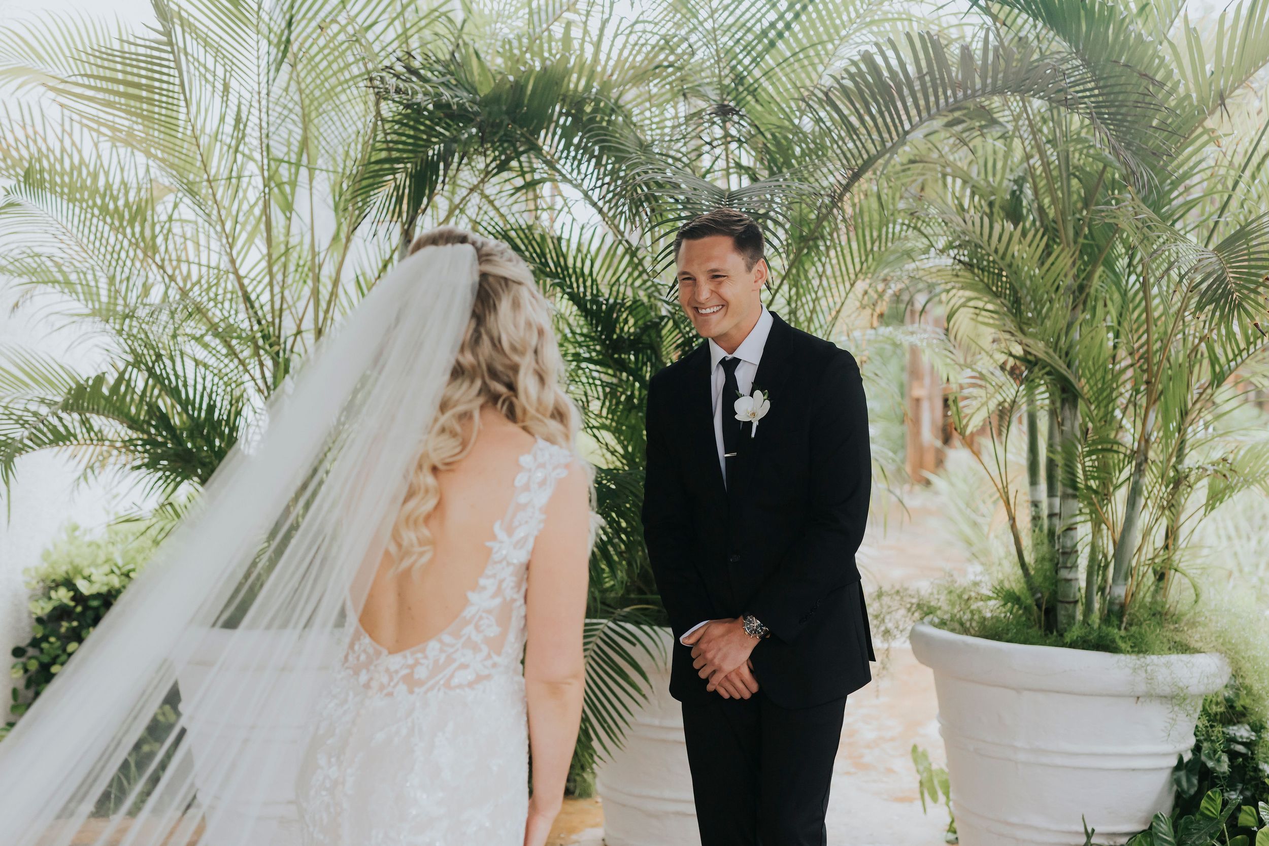 An elegant wedding ceremony scene with tropical palm plants and a flowing white veil.