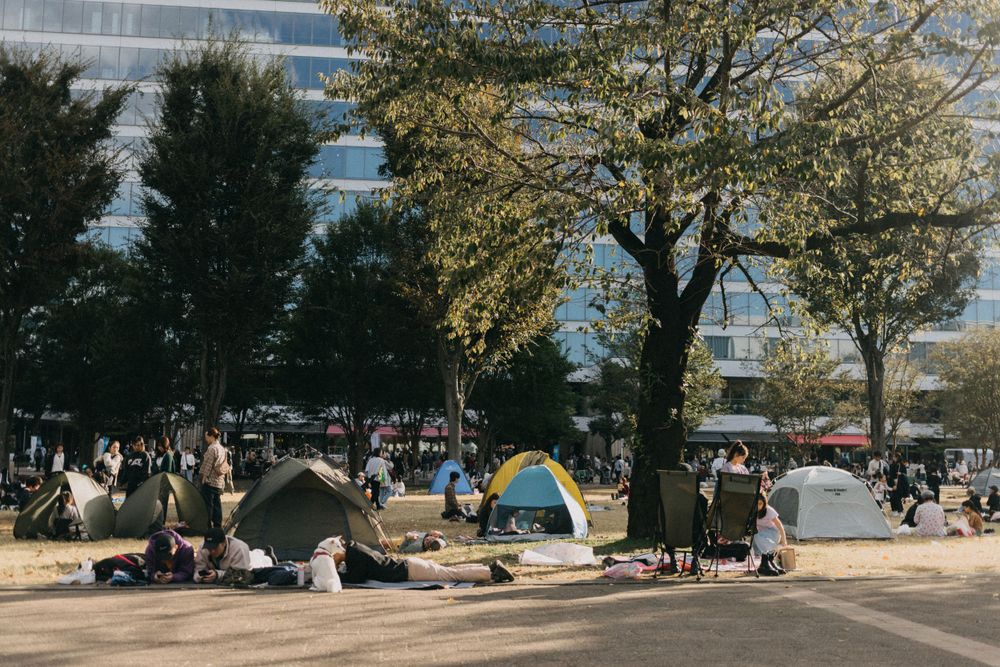 People gathering in a park with tents and trees on a sunny day.