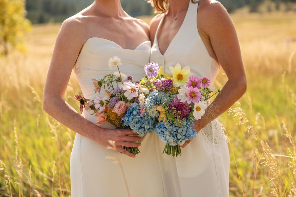 A colorful bouquet of wildflowers and hydrangeas held in golden sunlit field during sunset.