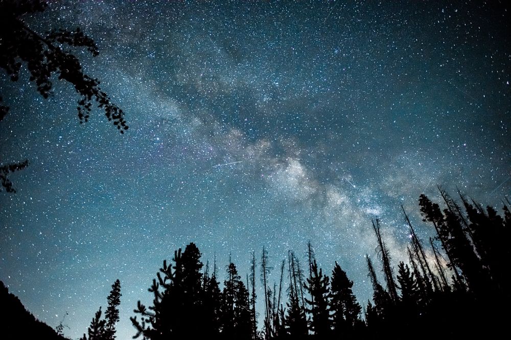 A stunning panoramic view of the Milky Way galaxy stretching across a dark night sky above silhouetted Colorado pine trees.